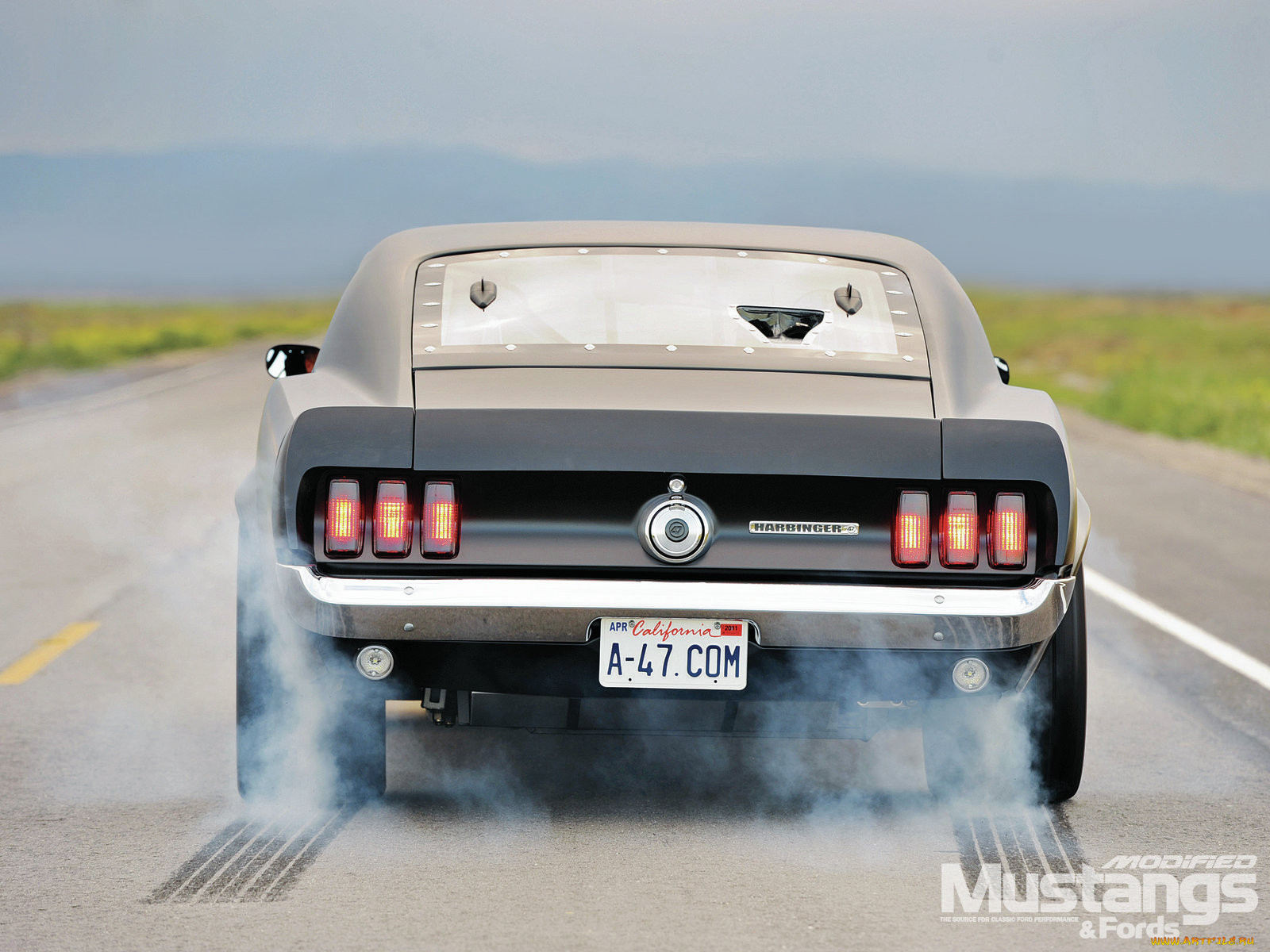 , mustang